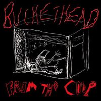 Buckethead - From the Coop