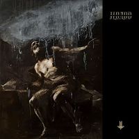 Behemoth - I Loved You At Your Darkest [Import LP]