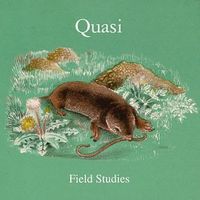 Quasi - Field Studies [LP]