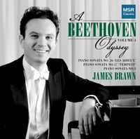 Beethoven / Brawn - Beethoven Odyssey 3
