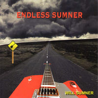 Will Sumner - Endless Sumner