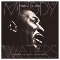 Muddy Waters - Mannish Boy-Best of