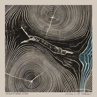Needtobreathe - Rivers In The Wasteland [Vinyl]