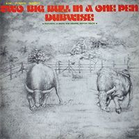 King Tubby - Two Big Bull In A One Pen (Dubwise Versions)