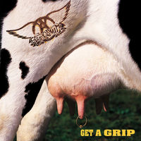 Aerosmith - Get A Grip [2LP]