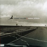 Terry Allen - Pedal Steel