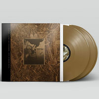 Pixies - Come On Pilgrim... It's Surfer Rosa: 30th Anniversary Deluxe Edition [Bronze 3LP]