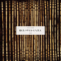 Steve Moore - Beloved Exile (Indie Exclusive) [Clear Vinyl] (Pnk) [Indie Exclusive]