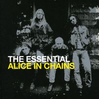 Alice In Chains - Essential Alice in Chains