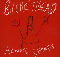 Buckethead - Acoustic Shards
