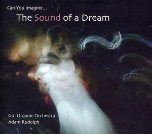 Go: Organic Orchestra - Can You Imagine The Sound Of A Dream