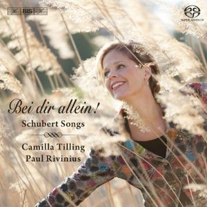 Bei Dir Allein: Schubert Songs