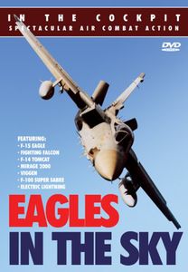 In the Cockpit: Eagles in the Sky