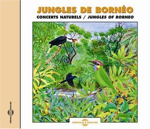 Jungles of Borneo