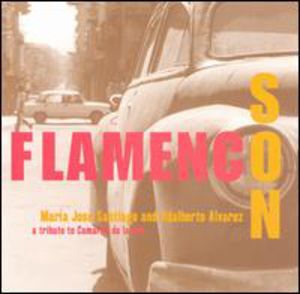 Flamenco Son