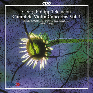 Complete Violin Concertos 1