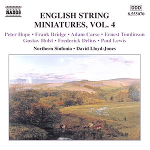 English String Miniatures 4 /  Various