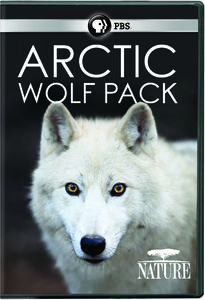 Nature: Arctic Wolf Pack