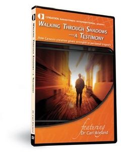 Walking Through Shadows: Testimony