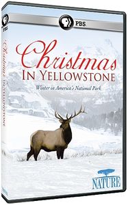 Nature: Christmas in Yellowstone
