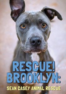 Rescue Brooklyn