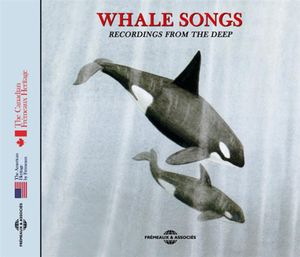 Whale Songs/ Recordings From The Deep