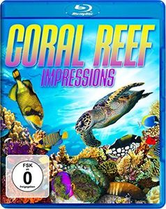 Coral Reef - Impressions