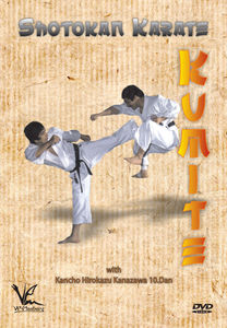Shotokan Karate Kumite (Fighting Techniques)