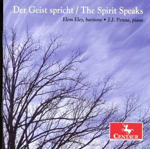 Der Geis Spricht /  Spirit Speaks