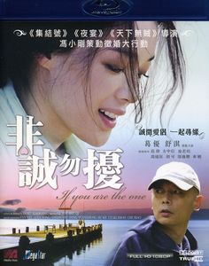 If You Are the One [Import]