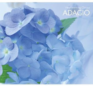 Heartwarming Classics 6. Adagio /  Various