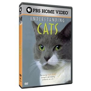 Understanding Cats