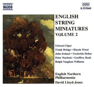 English String Miniatures 2 /  Various