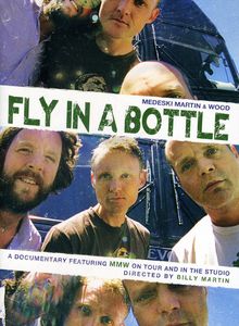 Fly in a Bottle
