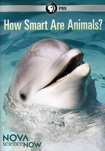 Nova scienceNOW: How Smart Are Animals?