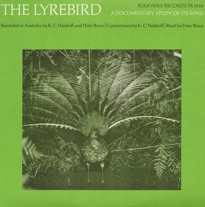The Lyrebird: A Documentary Study of It's Song