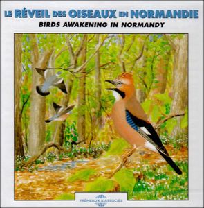 Birds Awakening in Normandie