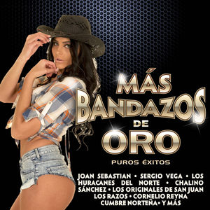 Mas Bandazos De Oro /  Various