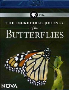 The Incredible Journey of the Butterflies