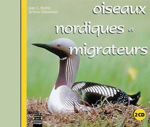 Northern Migrant Birds