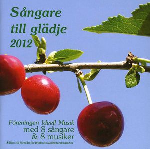 Sangare Till Gladje 2013 /  Various
