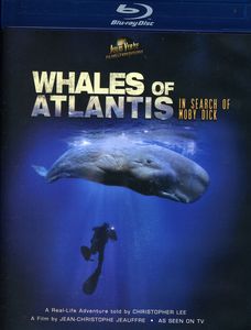 Whales of Atlantis: In Search of