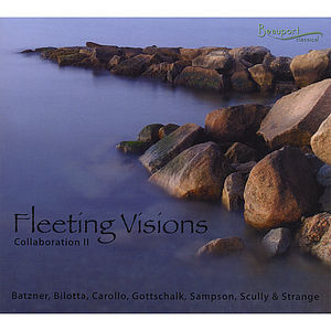 Fleeting Visions: Collaboration 2 /  Various