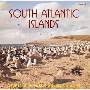 South Atlantic Islands: A Portrait Of Falkland Islands Wildlife