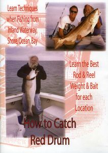 How to Catch Red Drum