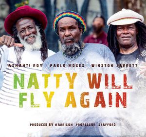 Natty Will Fly Again /  Various