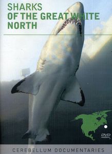 Sharks of the Great White North