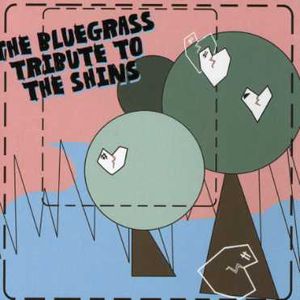 The Bluegrass Tribute To The Shins