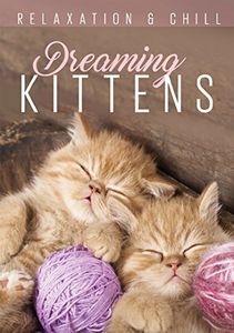 Relax: Dreaming Kittens