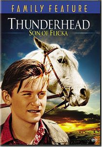 Thunderhead: Son of Flicka